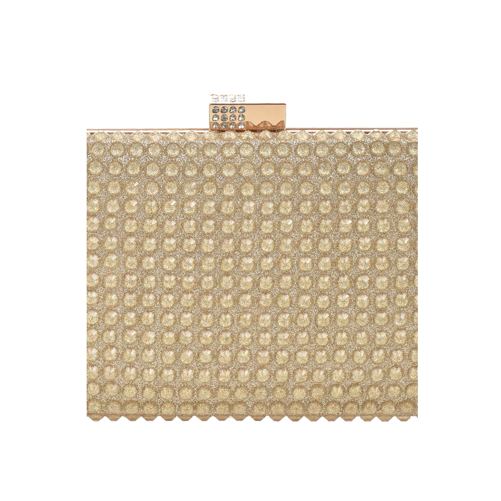 Geanta de ocazie Chiara Canotti CC1406, Auriu, #5, Bagsy