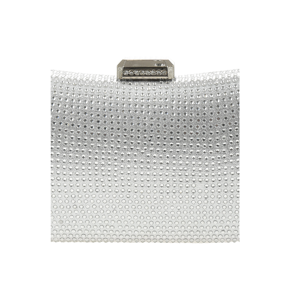 Geanta de ocazie Chiara Canotti CC1409, Argintiu, #5, Bagsy