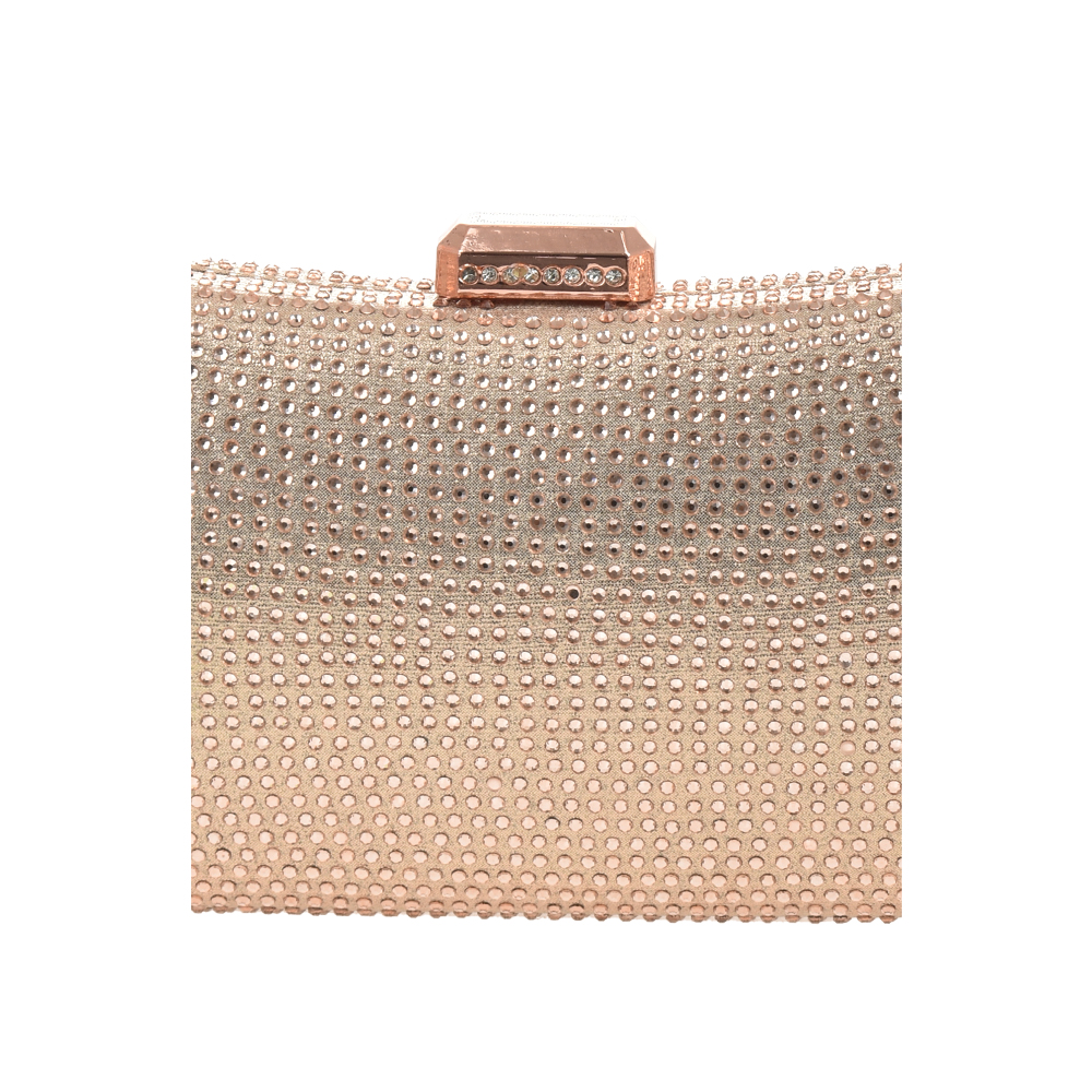 Geanta de ocazie Chiara Canotti CC1409, Sampanie, #5, Bagsy