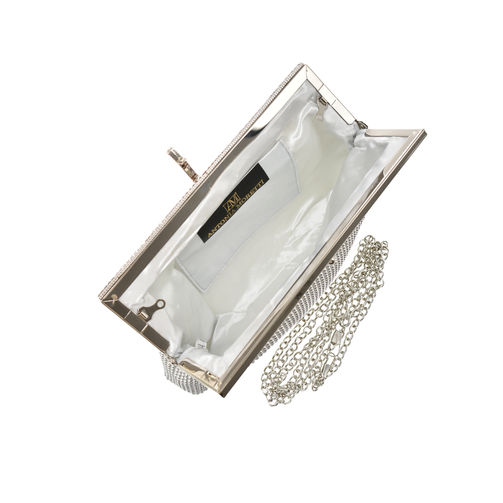 Geanta de ocazie Antonia Moretti AM1423, Argintiu, #4, Bagsy