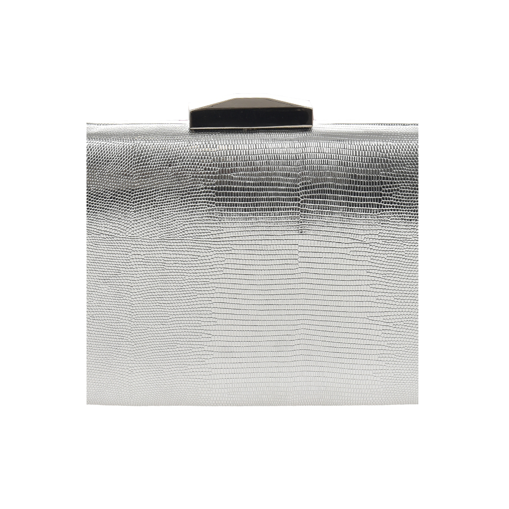 Geanta de ocazie Antonia Moretti AM1431, Argintiu, #5, Bagsy