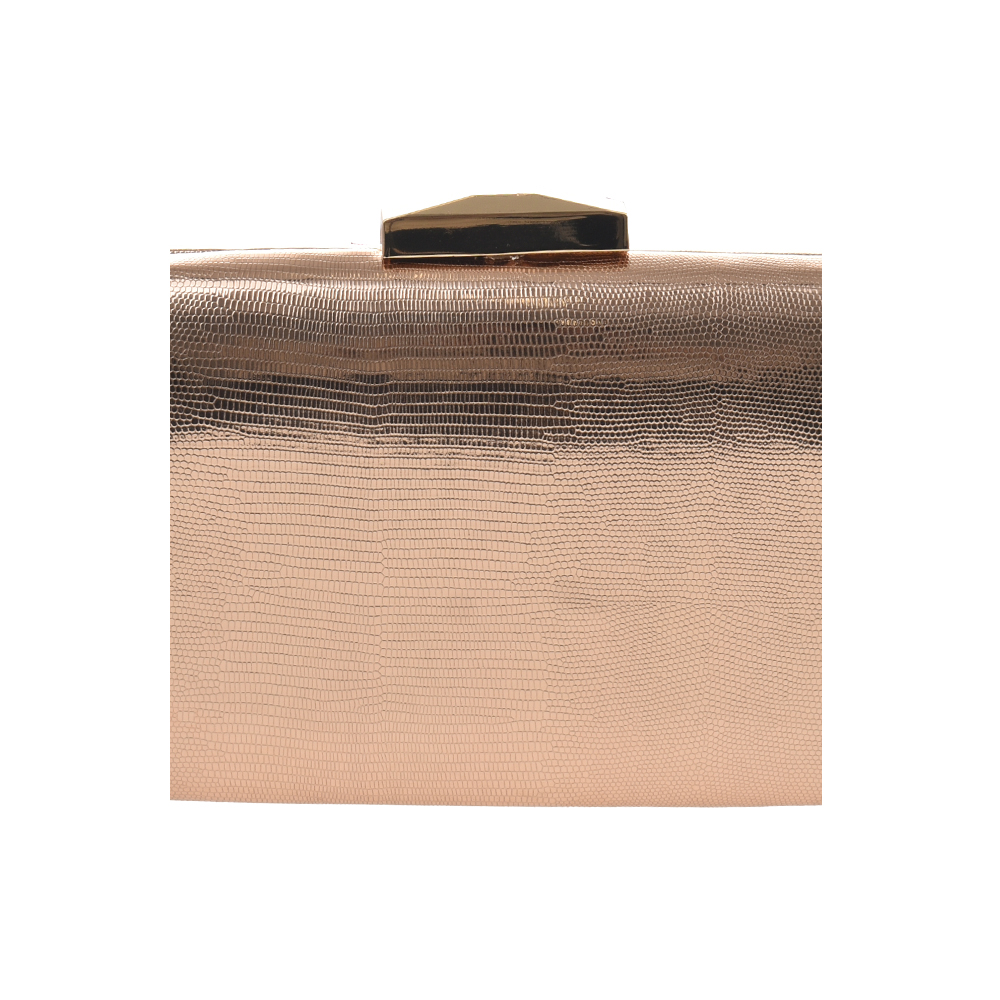 Geanta de ocazie Antonia Moretti AM1431, Sampanie, #5, Bagsy