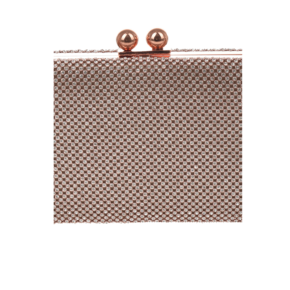 Geanta de ocazie Antonia Moretti AM1429, Sampanie, #5, Bagsy