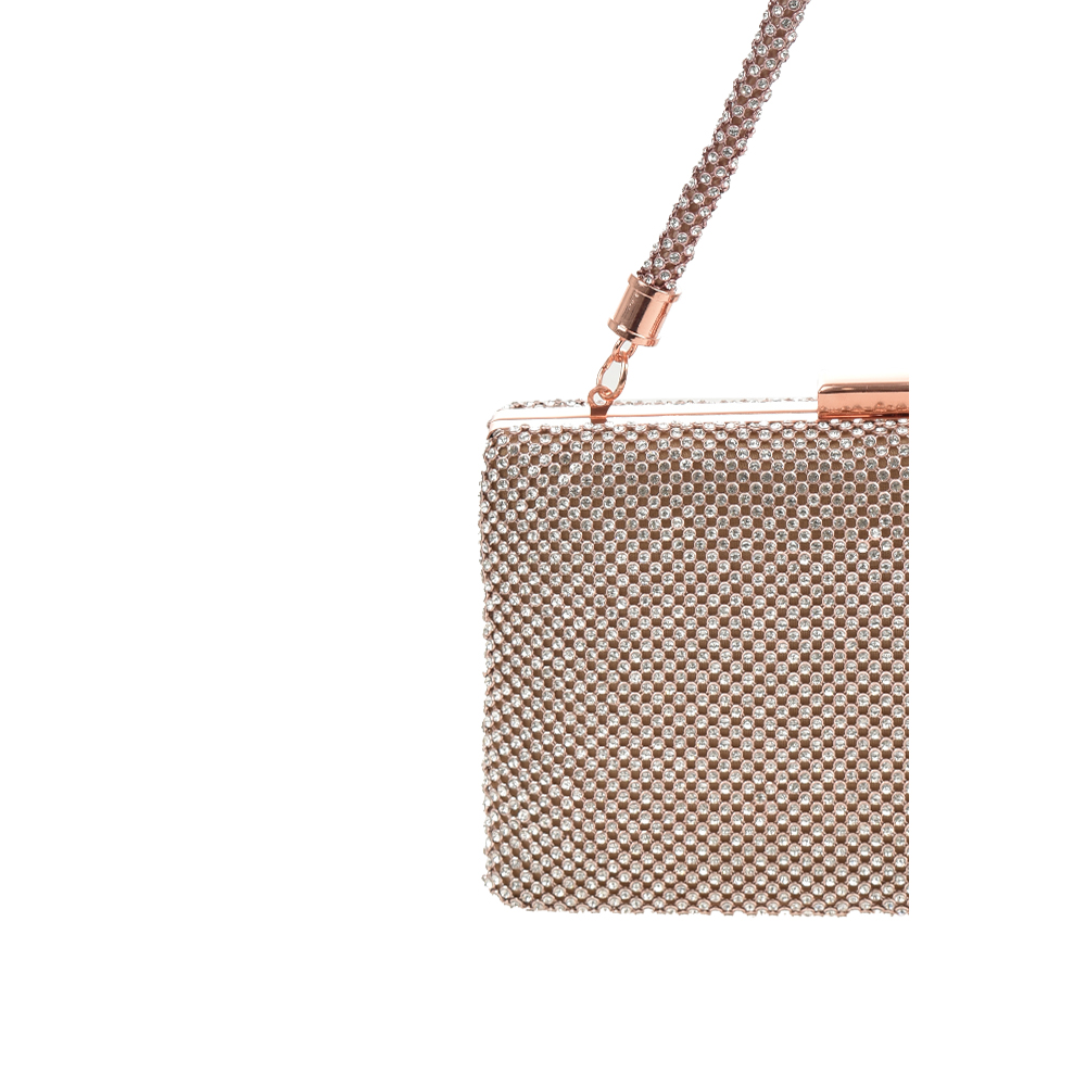 Geanta de ocazie Antonia Moretti AM1441, Sampanie, #5, Bagsy