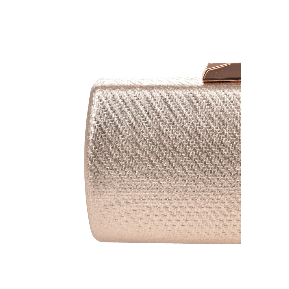 Geanta de ocazie Antonia Moretti AM1443, Sampanie, #5, Bagsy