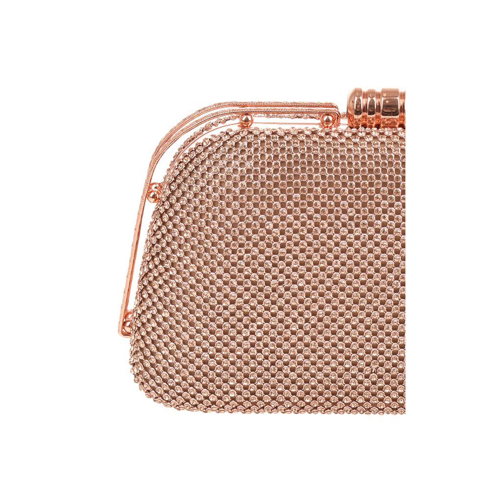 Geanta de ocazie Antonia Moretti AM1445, Sampanie, #5, Bagsy