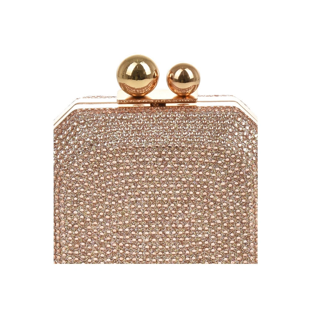 Geanta de ocazie Patrizia Lucchini PL1502, Sampanie, #5, Bagsy