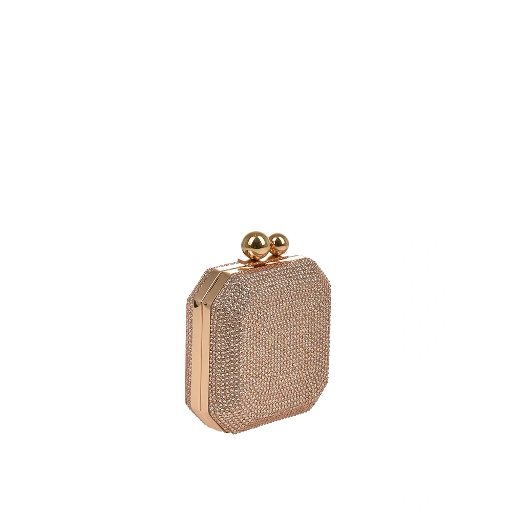 Geanta de ocazie Patrizia Lucchini PL1502, Sampanie, #2, Bagsy