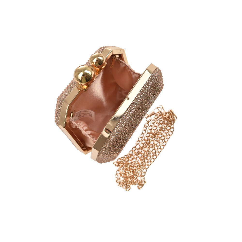 Geanta de ocazie Patrizia Lucchini PL1502, Sampanie, #4, Bagsy