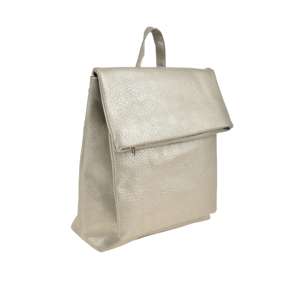 Rucsac dama din piele ecologica Francesca Rossi FR6412, Argintiu, #2, Bagsy