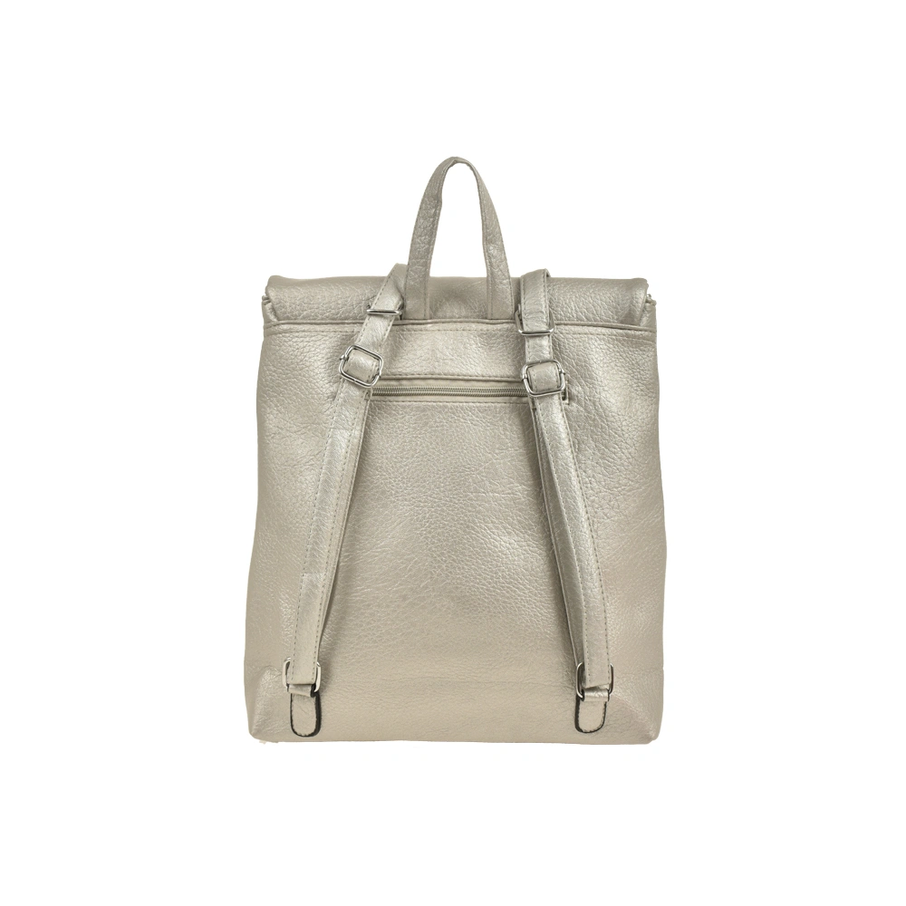 Rucsac dama din piele ecologica Francesca Rossi FR6412, Argintiu, #3, Bagsy