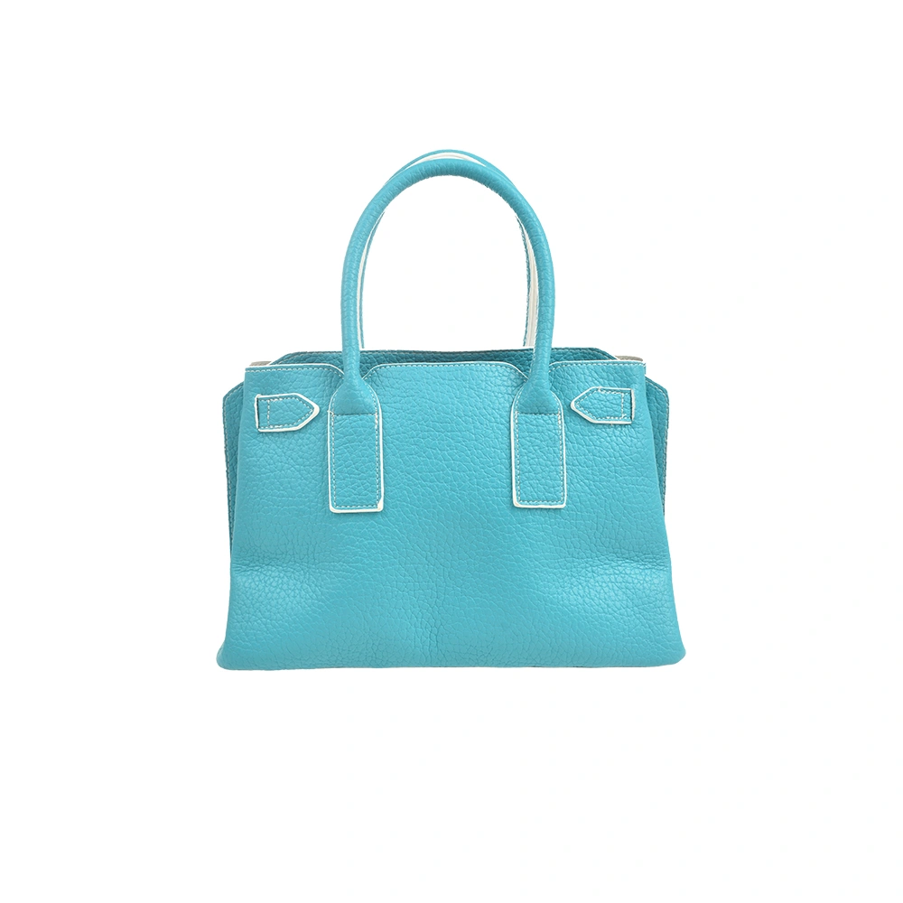 Geanta de mana Francesca Rossi FR6428, Albastru, #2, Bagsy