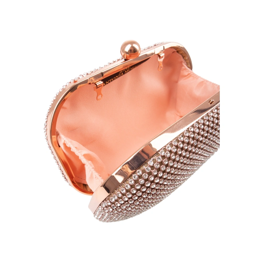 Geanta de ocazie Antonia Moretti AM1506, Sampanie, #3, Bagsy