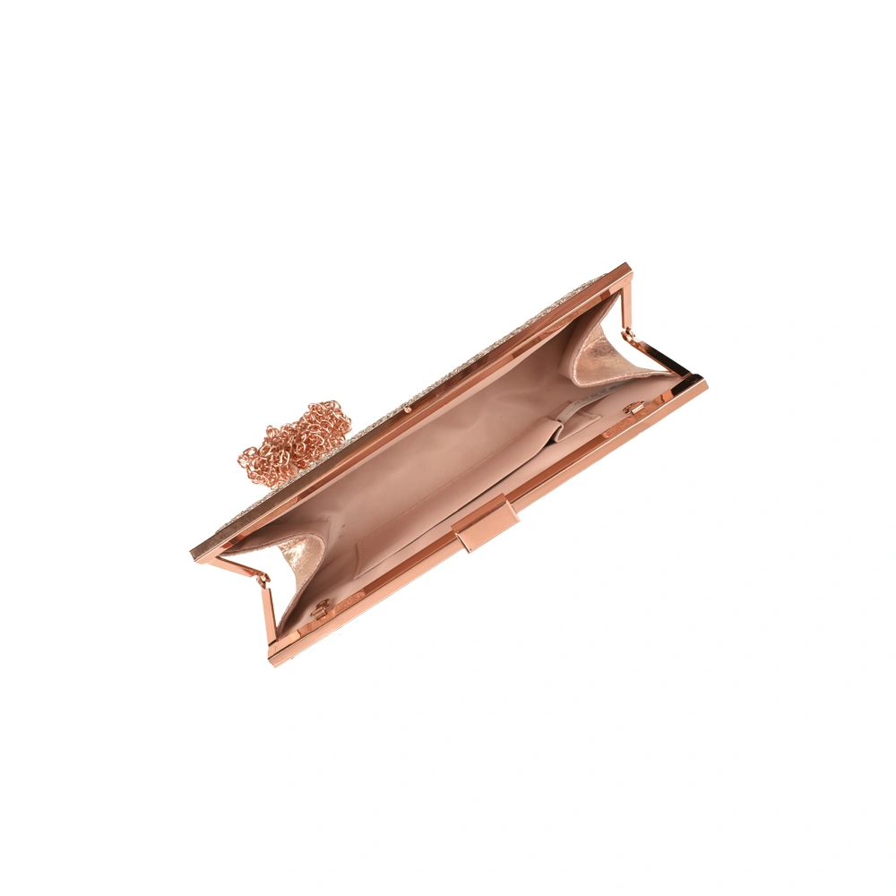 Geanta de ocazie Patrizia Lucchini PL1519, Sampanie, #4, Bagsy