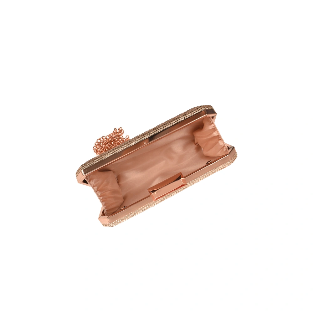 Geanta de ocazie Patrizia Lucchini PL1516, Sampanie, #4, Bagsy