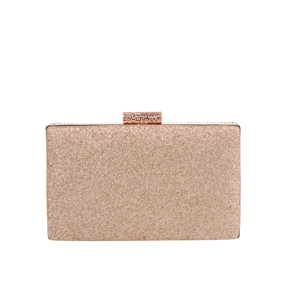 Geanta de ocazie Patrizia Lucchini PL1709, Sampanie, #3, Bagsy