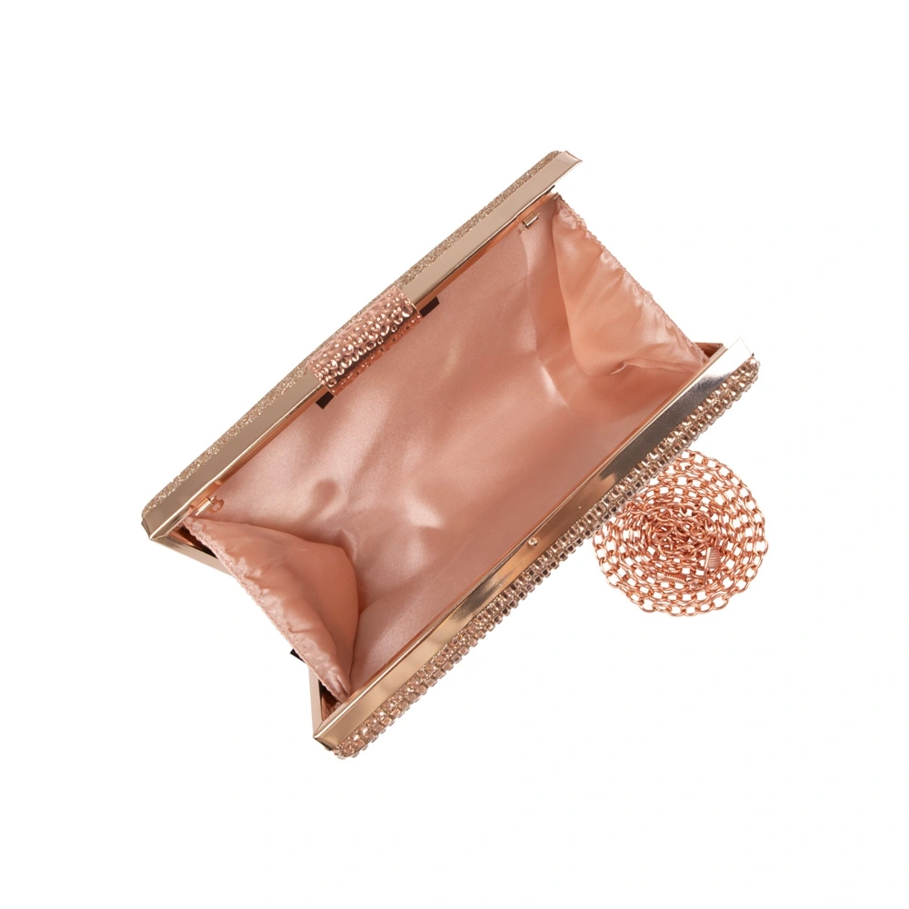 Geanta de ocazie Patrizia Lucchini PL1709, Sampanie, #4, Bagsy