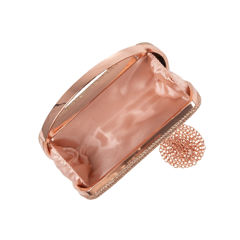 Geanta de ocazie Patrizia Lucchini PL1711, Sampanie, Nr. 5, Bagsy