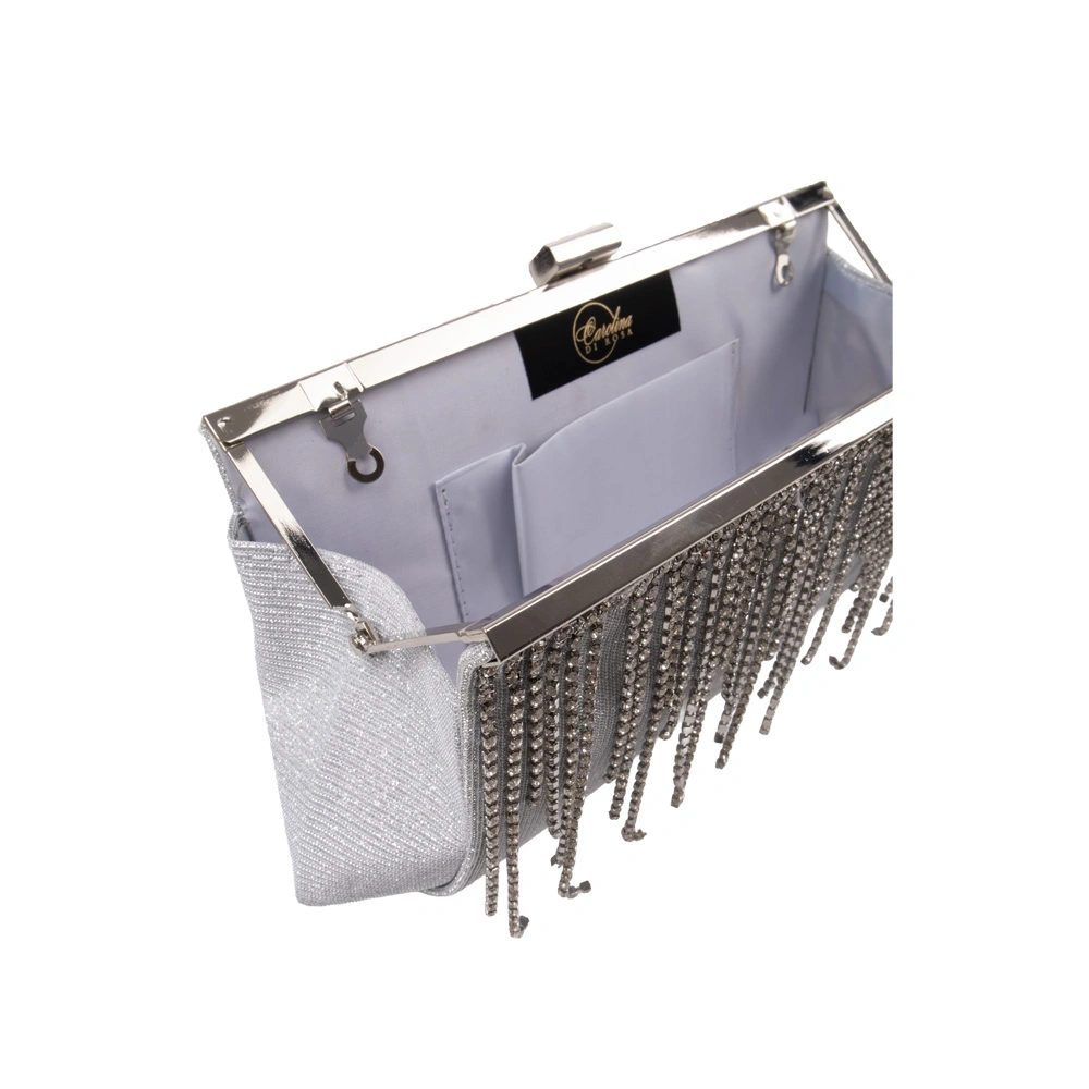 Geanta de ocazie Carolina di Rosa CR1770, Argintiu, Nr. 3, Bagsy