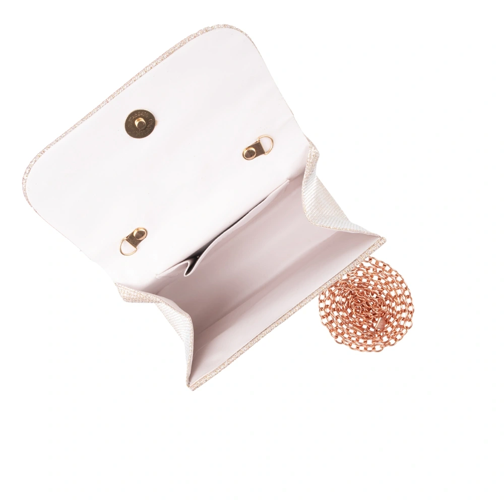 Geanta de ocazie Carolina di Rosa CR1777, Sampanie, #5, Bagsy