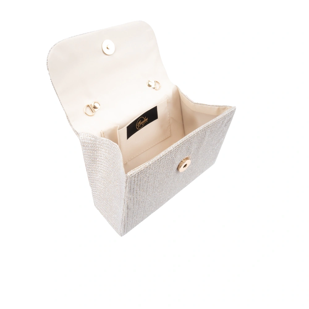 Geanta de ocazie Carolina di Rosa CR1777, Auriu, #5, Bagsy