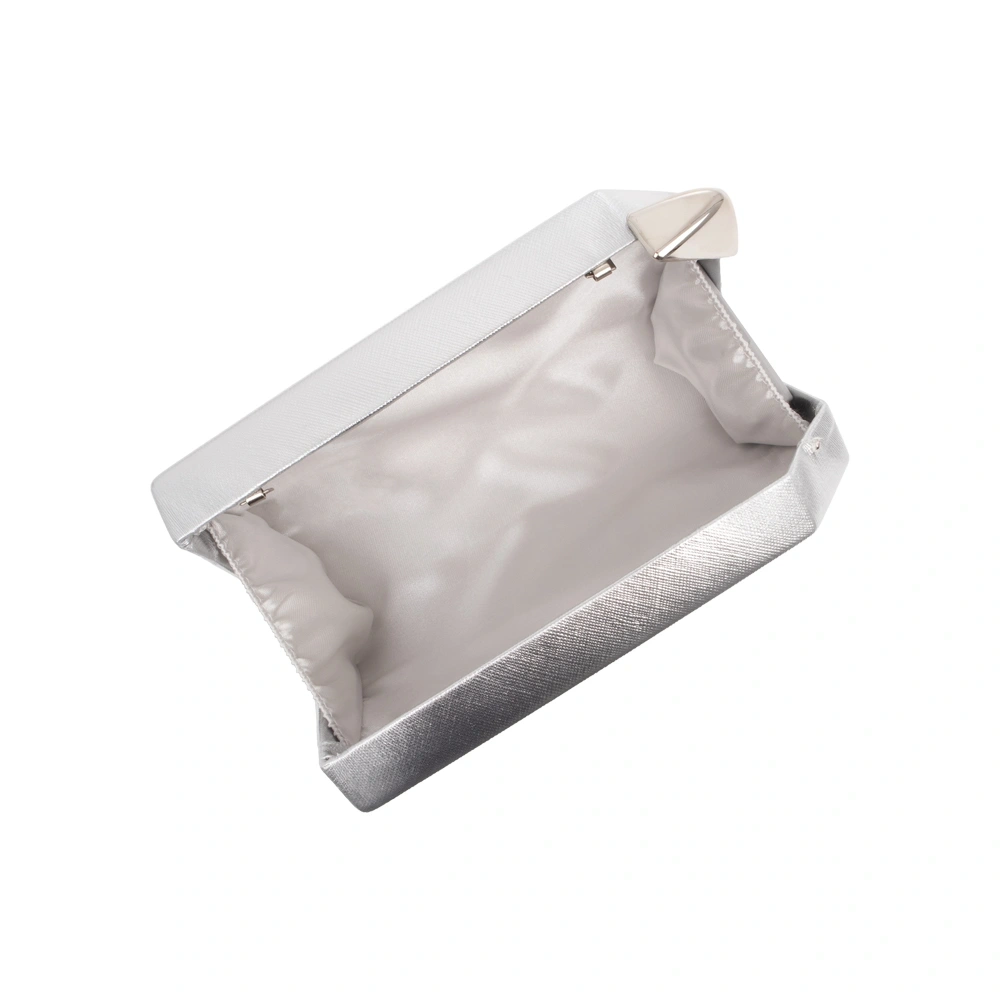 Geanta de ocazie Carolina di Rosa CR1821, Argintiu, #3, Bagsy