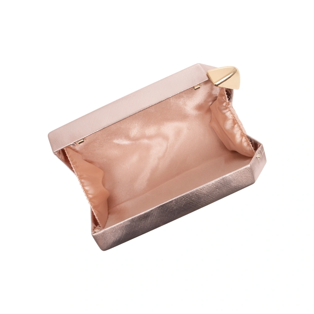 Geanta de ocazie Carolina di Rosa CR1821, Sampanie, #3, Bagsy