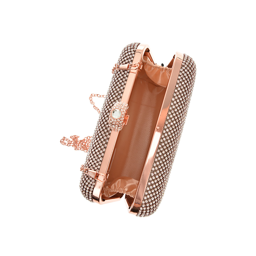 Geanta de ocazie Antonia Moretti AM0691, Sampanie, #4, Bagsy