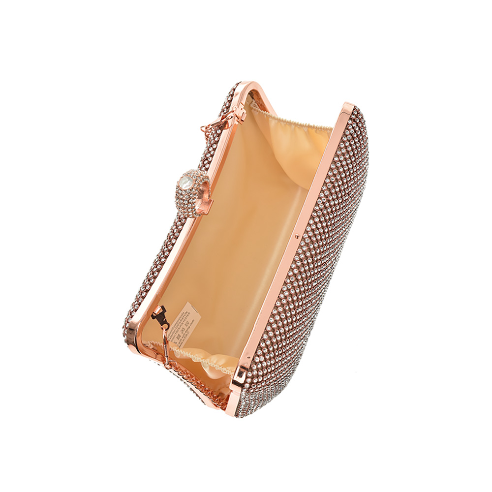 Geanta de ocazie Antonia Moretti AM0863, Sampanie, #5, Bagsy