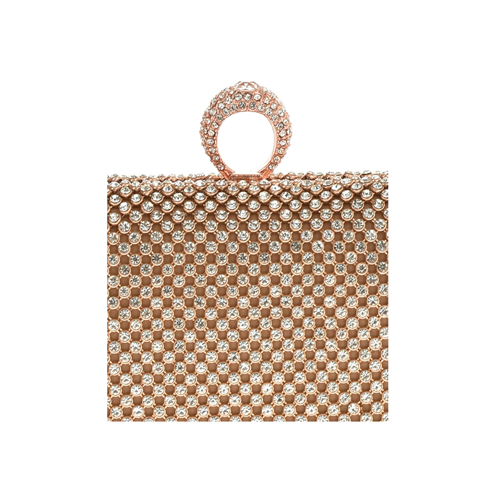 Geanta de ocazie Antonia Moretti AM0864, Sampanie, #5, Bagsy