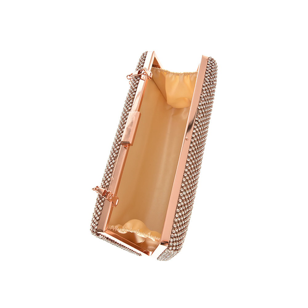 Geanta de ocazie Antonia Moretti AM1274, Sampanie, #4, Bagsy