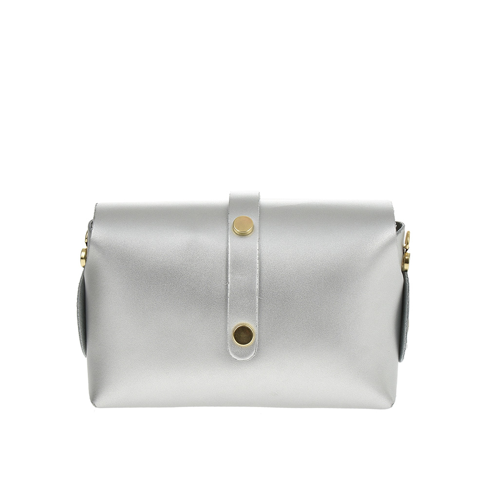 Geanta dama din piele naturala Chiara Canotti CC0956, Argintiu, #3, Bagsy