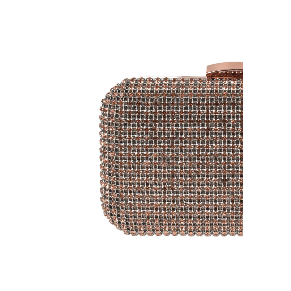 Geanta de ocazie Chiara Canotti CC1315, Sampanie, #5, Bagsy