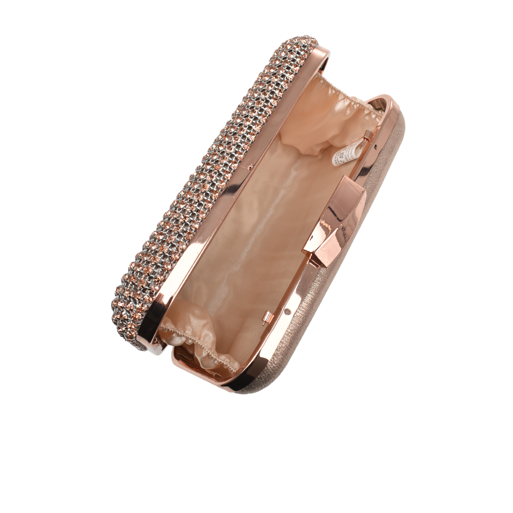 Geanta de ocazie Chiara Canotti CC1315, Sampanie, #4, Bagsy