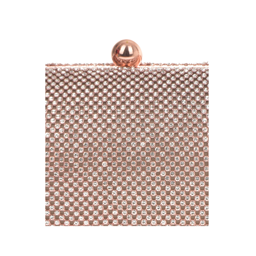 Geanta dama de ocazie Carolina di Rosa CR0941, Sampanie, #4, Bagsy