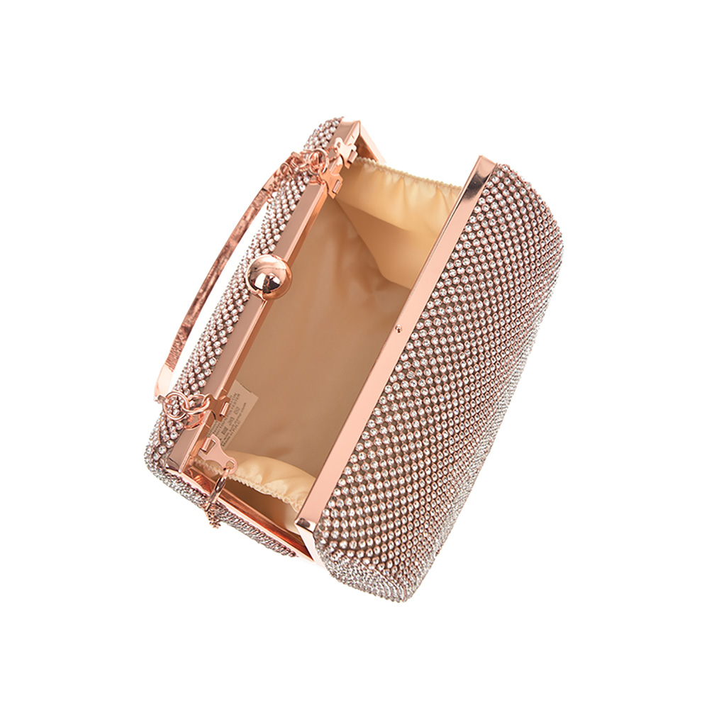 Geanta dama de ocazie Carolina di Rosa CR0941, Sampanie, #5, Bagsy