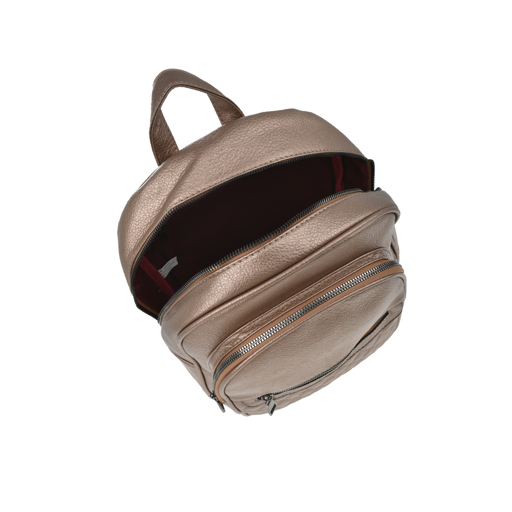 Rucsac dama Francesca Rossi FR5878, Auriu, #4, Bagsy