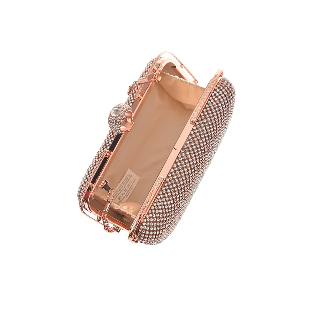 Geanta dama de ocazie Patrizia Lucchini PL0942, Sampanie, #5, Bagsy